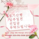 제449차 2025년 4월 26일 ( 넷째토) 보성 제암산.일림산 철쭉산행 이미지