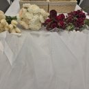 스테이스톤 | [유성구 파티룸 스테이스] 브라이덜 샤워 세팅 소개