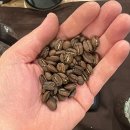 커피원두체험단-커피리뷰-사치스러운 커피향을 즐기고 싶을 땐, 콜롬비아 마난 티알레스 게이샤 이미지