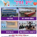 선화로6길 이미지