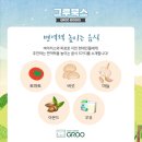 그루스터디카페김해외동센터 이미지