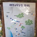 남해에덴캠핑장 이미지