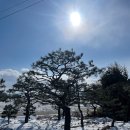 금반농장 네이버블로그