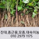 흙과씨앗 이미지