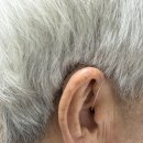 보라매동-4 이미지