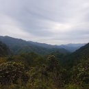 기린농협주유소 이미지