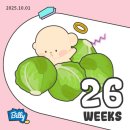 주)둘레 가양점 | [임신26주-27주] 이대서울진료5️⃣ 종아리 착색 증상, 독감주사, 강서구 토요부부 출산교실 미즈메디...