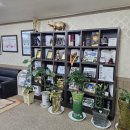 금강보청기(익산센터) 이미지