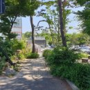 북극해고등어 이미지