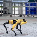 SLOW팬션 네이버블로그