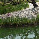 삼성골프장 이미지