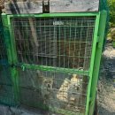 소금강여울목 이미지