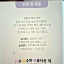 서담미가 | 아기 백일떡 돌떡 인천 서담미 내돈내산 후기