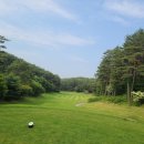 스윗스팟골프링크스(Sweet spot golf links) | 골프 용어 총정리