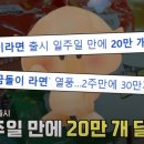 농협노은점 이미지