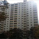 하단동1004 이미지