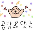 AK동물병원