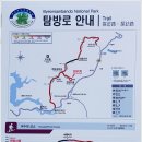 구사골 이미지