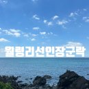제주 월령리 선인장군락 | [기타] 제주 1일차 : 월령리 선인장 군락