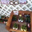 다리섬카페 이미지