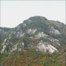 신한아파트 앞 사거리 이미지