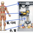 새로이 핏 이미지