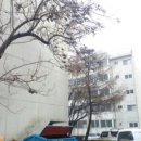 대우부동산중개사무소 이미지