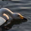 연동초등학교 이미지