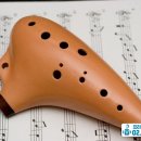 오카리나 1:1 개인레슨 이미지