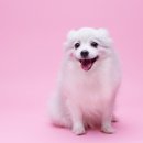 선스튜디오
