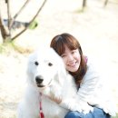 수요기획