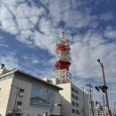 펭귄빨래방 | [구루메여행 4일차] 타이호라멘-구루메조류센터-이즈미노유온천-구루메GU