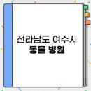웅천동물병원 | 전라남도 여수시 24시 야간 진료 가능한 동물병원 BEST 3 추천 | 비용