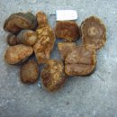 진다리로 이미지