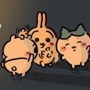 마루동이