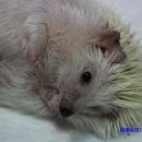 뮤동물병원 이미지