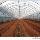 진짜루 - 공주시 장기로 145 | 진짜루