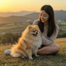 금배네 민박 이미지