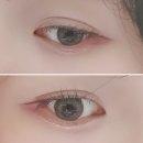 하파크리스틴 쇼퍼홀릭 크리스틴 원데이 미드나잇 그레이 색상 착용 후기! (여름쿨톤 착용)