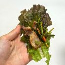 자유시장 정육점 이미지