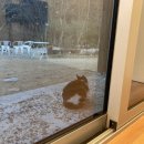 나무아래집 이미지