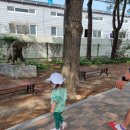 양덕분교 이미지