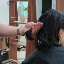 [안산 상록수 미용실] 디어유어 클리닉 후기 (+ 디자인컷 내돈내산)