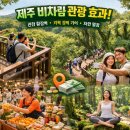 캐빈리조트민박
