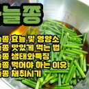 마늘쫑의 효능 이미지