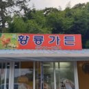 황룡가든 이미지