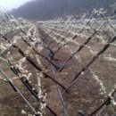 김윤태농장 이미지