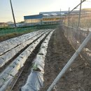 재욱농장 이미지