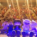 달고양이 이미지