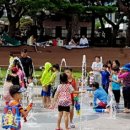 솔빛공원 1 이미지